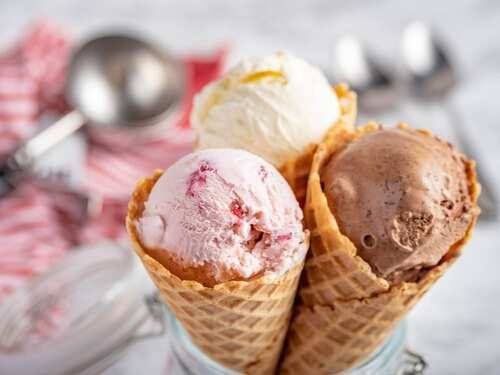 Bombay Creamery Business Opportunity